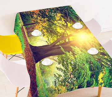 3D Tree Sunshine 799 Tablecloths Wallpaper AJ Wallpaper 