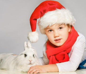 White Rabbit Wallpaper AJ Wallpaper 