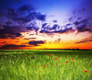 Beautiful Horizons Wallpaper AJ Wallpaper 