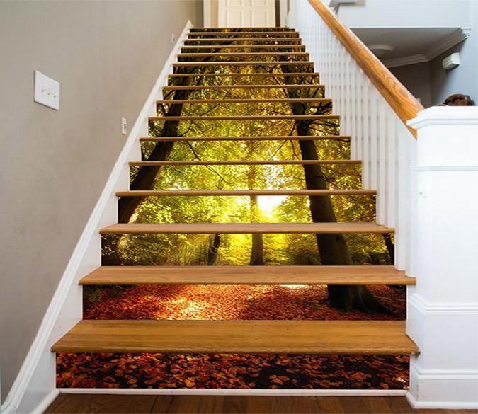 3D Forest Sunshine 1198 Stair Risers Wallpaper AJ Wallpaper 