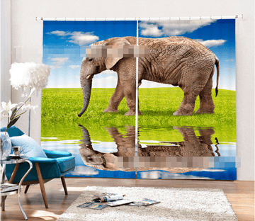 3D Lakeside Lawn Elephant 1375 Curtains Drapes Wallpaper AJ Wallpaper 