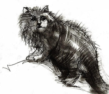 Sketch Cat Wallpaper AJ Wallpaper 