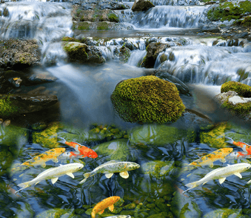 3D River Fishes Floor Mural Wallpaper AJ Wallpaper 2 