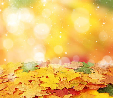 Colorful Leaves Wallpaper AJ Wallpaper 