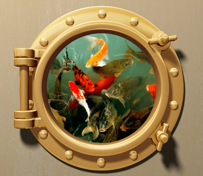 3D Fish Door Floor Mural Wallpaper AJ Wallpaper 2 