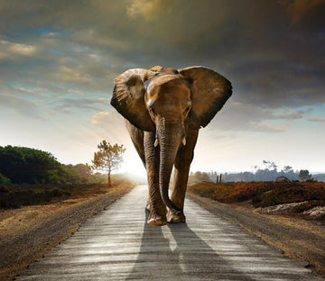 Walking Elephant Wallpaper AJ Wallpaper 