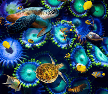 3D Sea Creatures Floor Mural Wallpaper AJ Wallpaper 2 