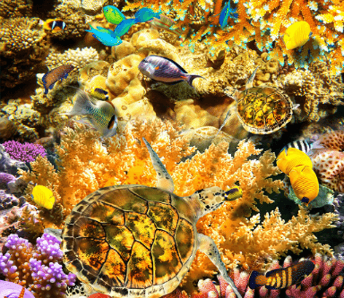 3D Dazzling Seabed Floor Mural Wallpaper AJ Wallpaper 2 