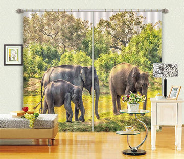 3D Elephants Family 50 Curtains Drapes Wallpaper AJ Wallpaper 
