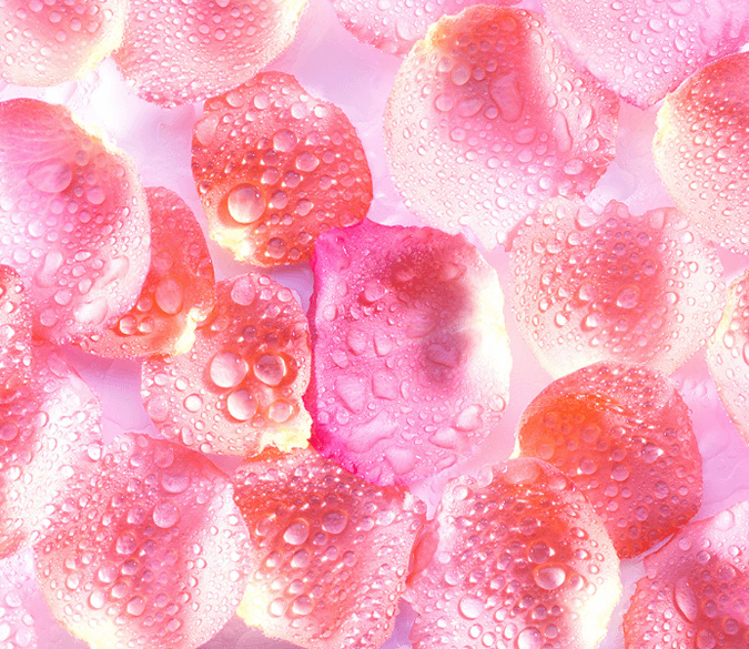 3D Pure Petals Floor Mural Wallpaper AJ Wallpaper 2 
