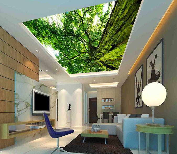 Tall Green Tree Wallpaper AJ Wallpaper 