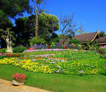 Different Colored Flowers Wallpaper AJ Wallpaper 