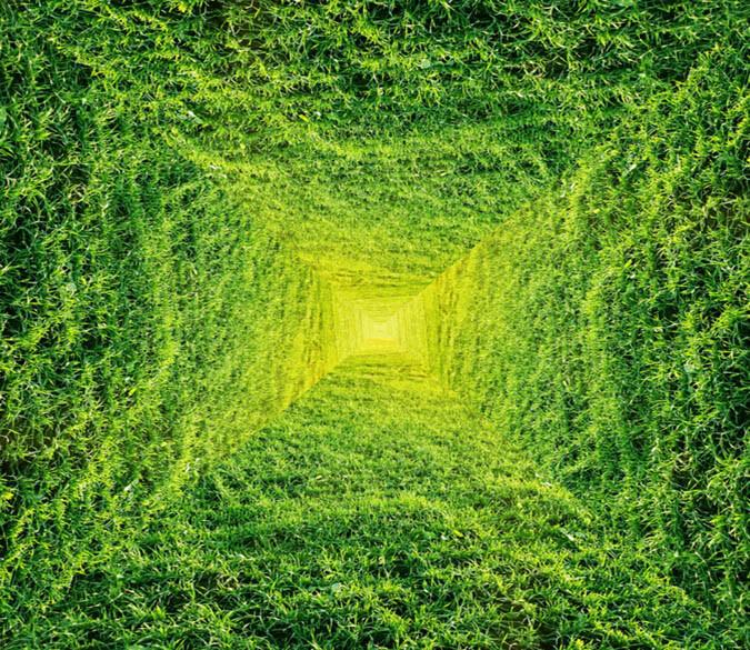 3D Grass World Floor Mural Wallpaper AJ Wallpaper 2 