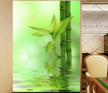 Sprouting Bamboos Wallpaper AJ Wallpaper 