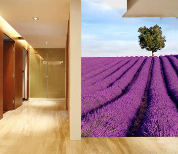 Lavender Fields 3 Wallpaper AJ Wallpaper 