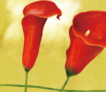 Red Flowers 3 Wallpaper AJ Wallpaper 