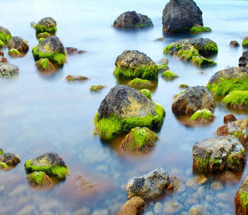 3D Lake Mossy Stones Floor Mural Wallpaper AJ Wallpaper 2 