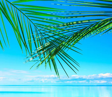 Beautiful Sea 3 Wallpaper AJ Wallpaper 