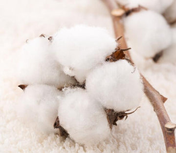 White Cotton Wallpaper AJ Wallpaper 