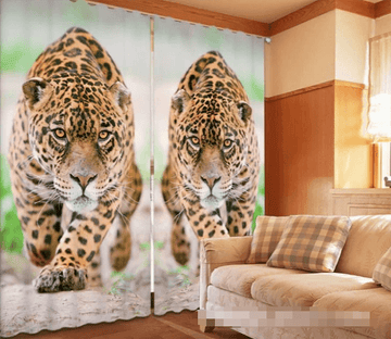 3D Leopards 1192 Curtains Drapes Wallpaper AJ Wallpaper 