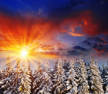 Warm Sun 1 Wallpaper AJ Wallpaper 