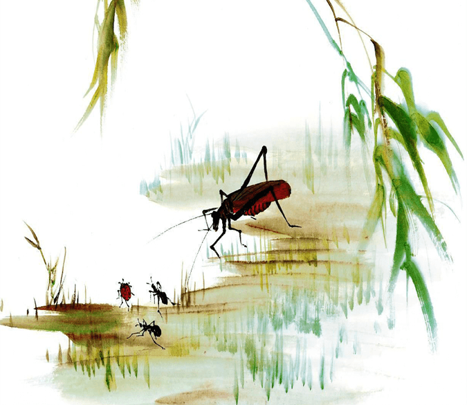 Insects 1 Wallpaper AJ Wallpaper 