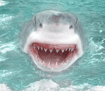 3D Big Shark Floor Mural Wallpaper AJ Wallpaper 2 