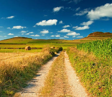 Country Scenery Wallpaper AJ Wallpaper 