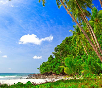 Beautiful Beach 7 Wallpaper AJ Wallpaper 