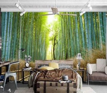 Bamboo Road Wallpaper AJ Wallpaper 2 