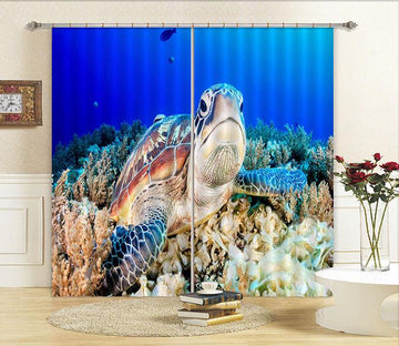 3D Seabed Turtle 142 Curtains Drapes Wallpaper AJ Wallpaper 