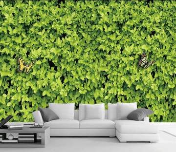 Green Plants And Butterflies Wallpaper AJ Wallpaper 