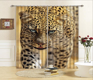3D Leopard 57 Curtains Drapes Wallpaper AJ Wallpaper 