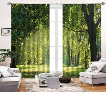 3D Green Lawn Trees 2232 Curtains Drapes Wallpaper AJ Wallpaper 