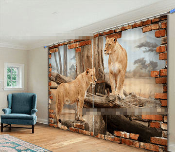 3D Lions 2072 Curtains Drapes Wallpaper AJ Wallpaper 
