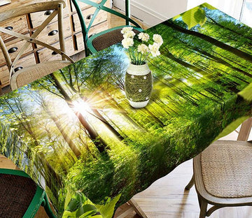 3D Forest Sunshine 668 Tablecloths Wallpaper AJ Wallpaper 