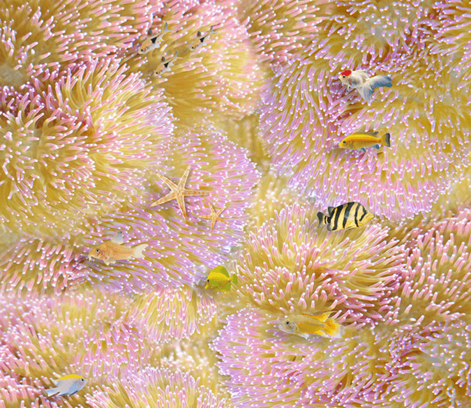 3D Shining Corals Floor Mural Wallpaper AJ Wallpaper 2 