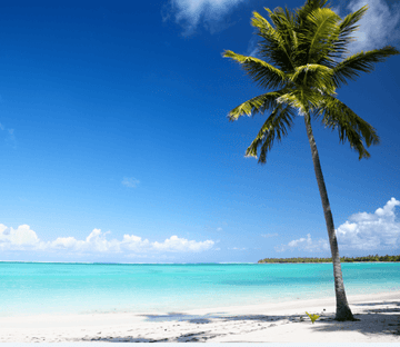 Beautiful Beach 8 Wallpaper AJ Wallpaper 
