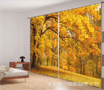 3D Autumn Forest Trees 1110 Curtains Drapes Wallpaper AJ Wallpaper 