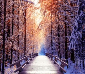 Snowy Forest Wallpaper AJ Wallpaper 