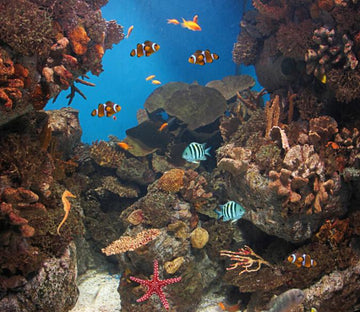 Underwater World 8 Wallpaper AJ Wallpaper 