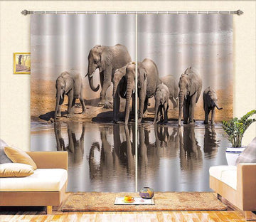 3D Drinking Elephants 547 Curtains Drapes Wallpaper AJ Wallpaper 