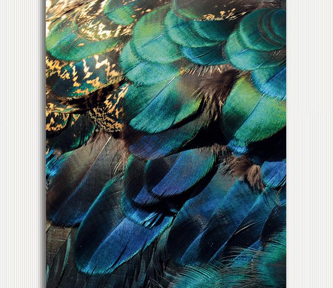Colored Feathers Wallpaper AJ Wallpaper 