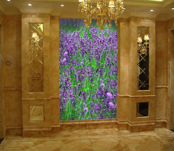 Purple Blossoms 5 Wallpaper AJ Wallpaper 