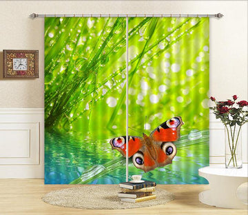 3D Color Butterfly 47 Curtains Drapes Wallpaper AJ Wallpaper 