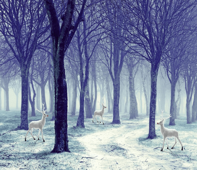 Forest White Elks Wallpaper AJ Wallpaper 