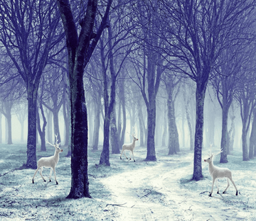 Forest White Elks Wallpaper AJ Wallpaper 