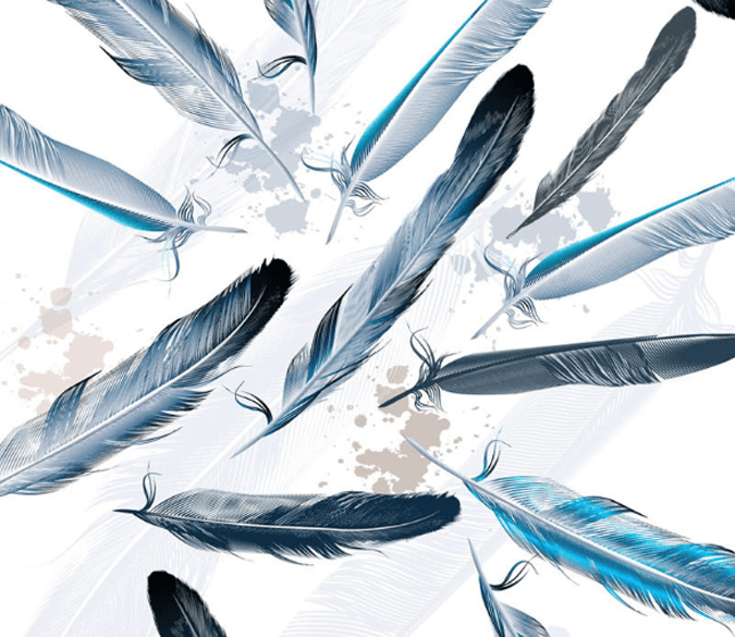 Blue Feathers Wallpaper AJ Wallpaper 