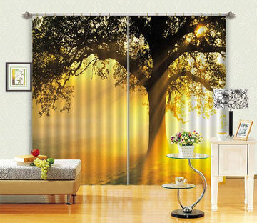 3D Tree Sunshine 312 Curtains Drapes Wallpaper AJ Wallpaper 