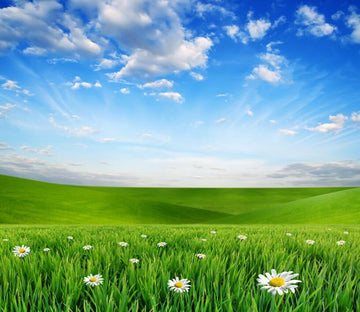 Green Prairie Wallpaper AJ Wallpaper 
